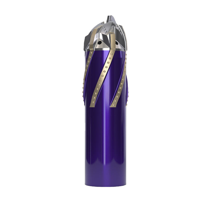 Chaussure flottante à nez standard L80 avec 244,48 mm OD pour l'industrie du pétrole et du gaz