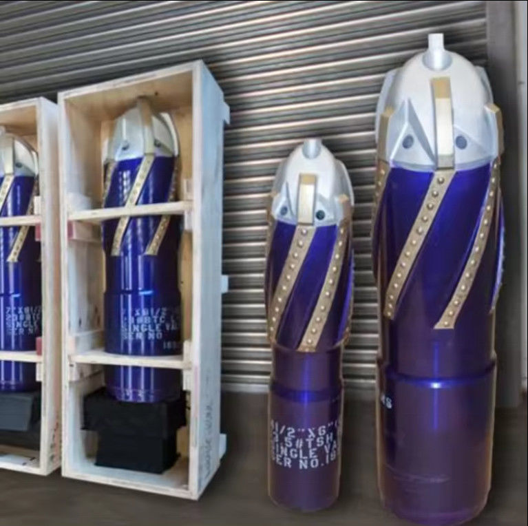 Chaussure flottante à nez standard L80 avec 244,48 mm OD pour l'industrie du pétrole et du gaz